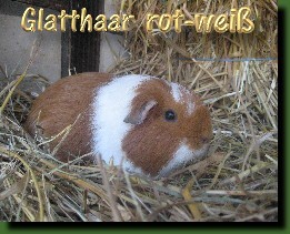 Glatthaar rot wei�